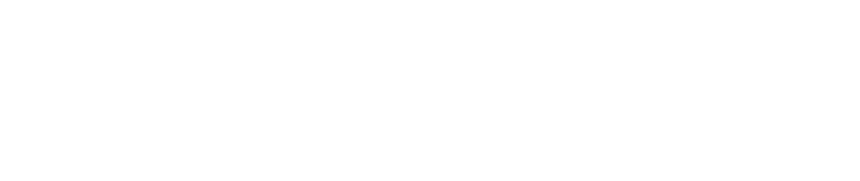 Digitera Solutions